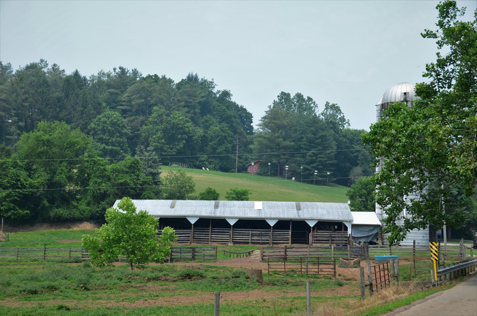 Fields and pastures at our farm