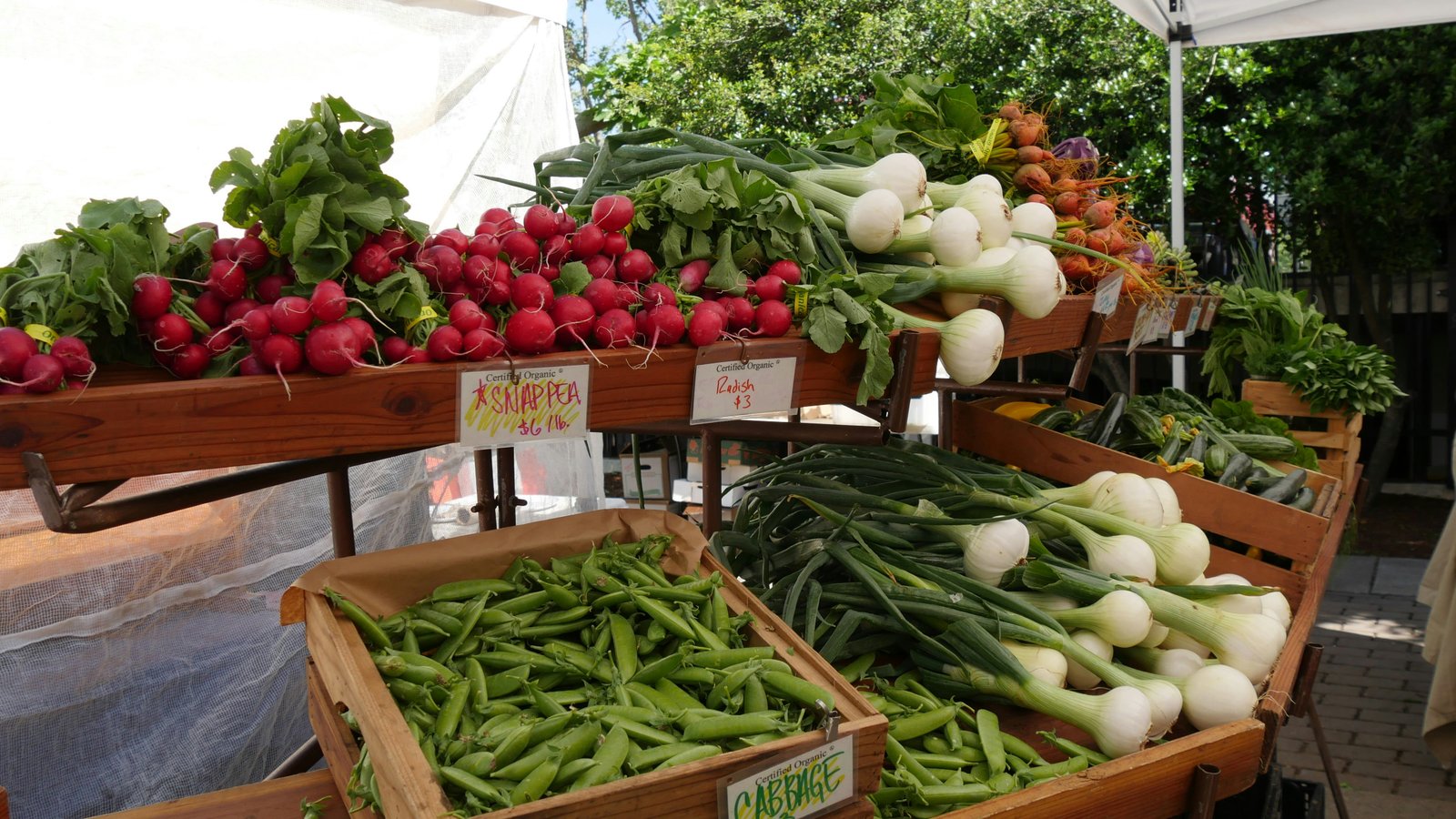 Family farm fields and baskets of produce